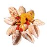 Artificial Decorations | Beach Conch Conch Shell Artificial Decorations Artificial Decorations Artificial Decorations