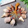 Artificial Decorations | Beach Conch Conch Shell Artificial Decorations Artificial Decorations Artificial Decorations