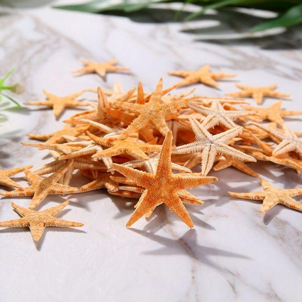 Artificial Decorations | Beach Starfish Shell Handicraft Raw Materials Artificial Decorations 1-About 2.5cm (1000 Pieces Per Pack) Artificial Decorations 1-About 2.5cm (1000 Pieces Per Pack)