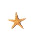 Artificial Decorations | Beach Starfish Shell Handicraft Raw Materials Artificial Decorations 1-About 2.5cm (1000 Pieces Per Pack) Artificial Decorations 1-About 2.5cm (1000 Pieces Per Pack)