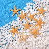 Artificial Decorations | Beach Starfish Shell Handicraft Raw Materials Artificial Decorations 1-About 2.5cm (1000 Pieces Per Pack) Artificial Decorations 1-About 2.5cm (1000 Pieces Per Pack)