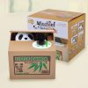 Artificial Decorations | New Creative Steal Coin Cute Panda Cat Savings Box Wholesale 12*9*10cm Artificial Decorations 12*9*10cm