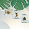 Artificial Decorations | Pastoral Ants Spider Butterfly Resin Artificial Decorations Artificial Decorations Artificial Decorations