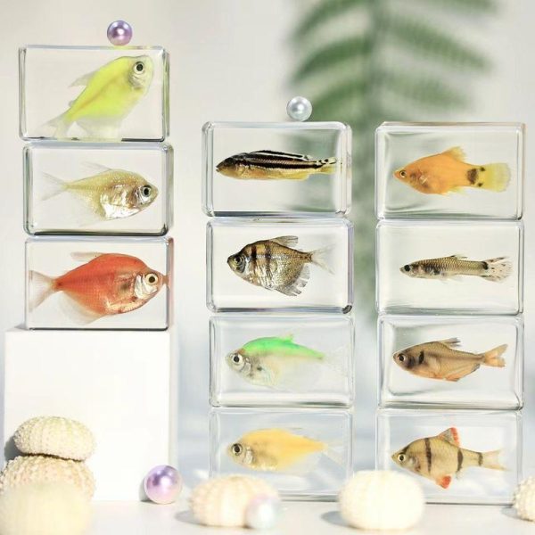 Artificial Decorations | Simple Style Fish Resin Artificial Decorations 44*29*17mm Artificial Decorations 44*29*17mm