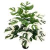 Artificial flowers | Casual Plant Pvc Imitation Plants Artificial Flowers Artificial flowers Artificial flowers