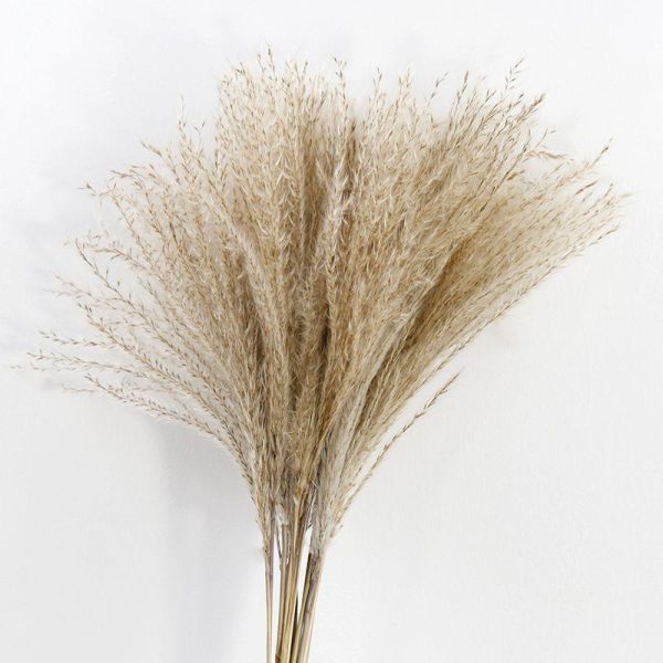 Artificial flowers | Pastoral Simple Style Solid Color Dried Flower Artificial Flowers Artificial flowers Artificial flowers