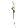 Artificial flowers | Simple Style Classic Style Flower Silk Flower Holiday Daily Preserved Flower Artificial flowers Artificial flowers