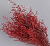 Artificial flowers | Simple Style Classic Style Solid Color Dried Flower Ornaments Artificial Flowers Artificial flowers Artificial flowers