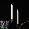 Candles & Holders | Novelty Solid Color Paraffin Candle Diameter 2.2*20 Ivory White Candles & Holders Candles & Holders