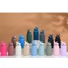 Drinkware | Casual Solid Color Stainless Steel Water Bottles 650ml Drinkware 650ml