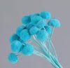 Artificial flowers | Simple Style Classic Style Solid Color Dried Flower Ornaments Artificial Flowers Artificial flowers Artificial flowers