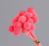 Artificial flowers | Simple Style Classic Style Solid Color Dried Flower Ornaments Artificial Flowers Artificial flowers Artificial flowers